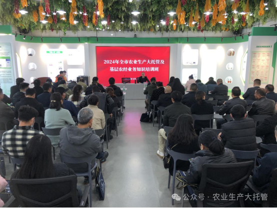 農(nóng)管家公司開展2024年全市農(nóng)業(yè)生產(chǎn)大托管及基層農(nóng)經(jīng)業(yè)務知識培訓